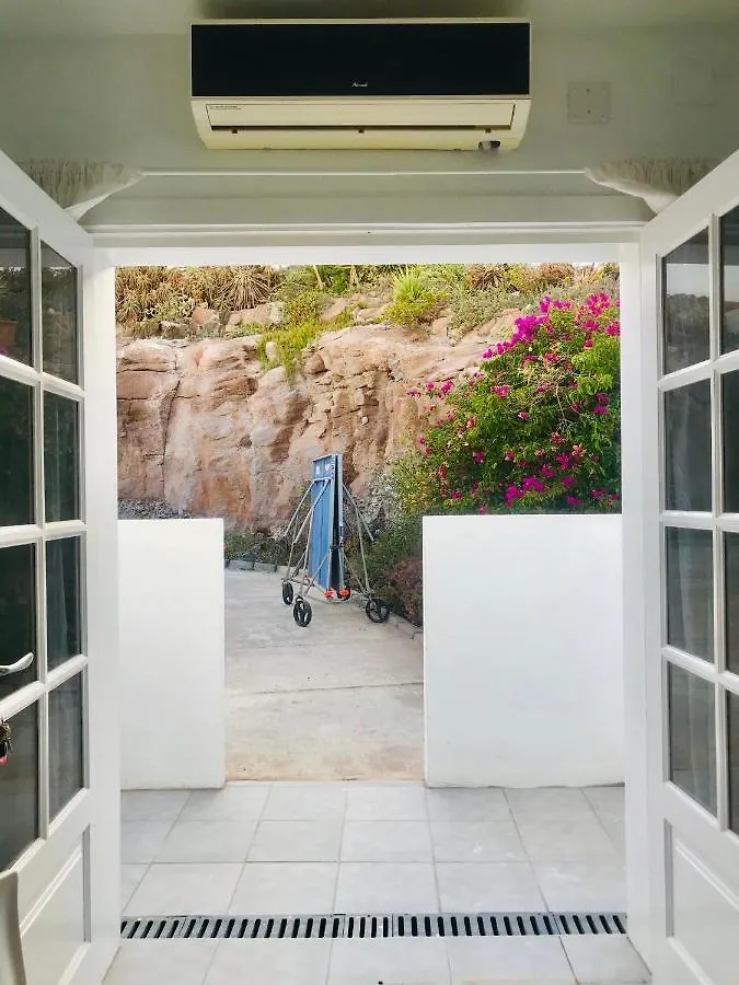 Aloe Suite Tías